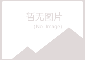 辽源龙山夏岚金融有限公司